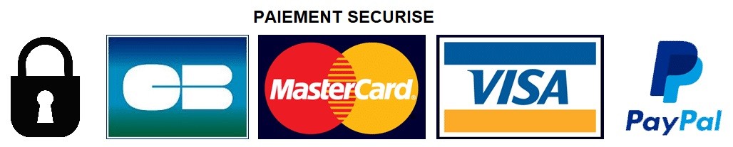 logo avec les moyens de paiement securises
