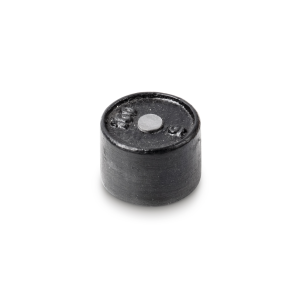 Poids de contrôle KERN 366-91 100g OIML M3