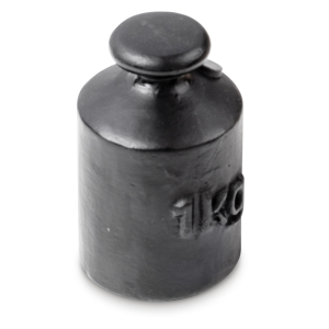 Poids de contrôle KERN 366-94 1kg OIML M3