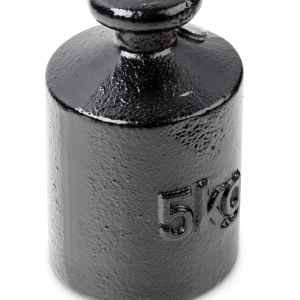 Poids de contrôle KERN 366-96 5kg OIML M3