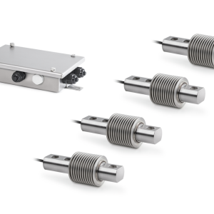 Jeu de construction de balance SAUTER CW 300R, 300kg
