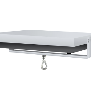 Pesage sous la balance DS-A01