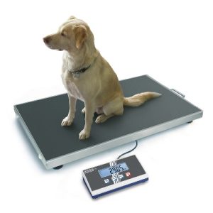 BALANCE VETERINAIRE